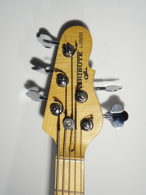 G&L Tribute L-2500 5 String Wooden Bass Guitar