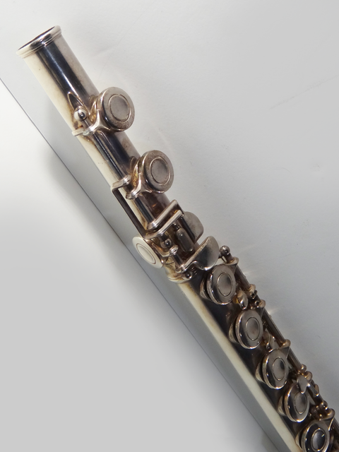 Bundy Flute in Original Case